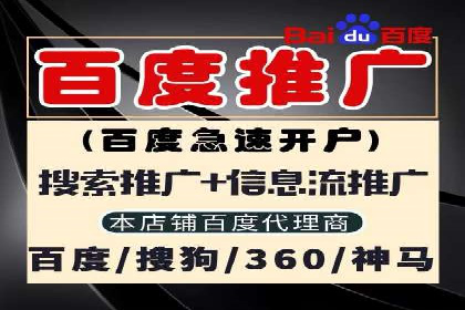 SEM托管服务案例解析：提升企业在线曝光